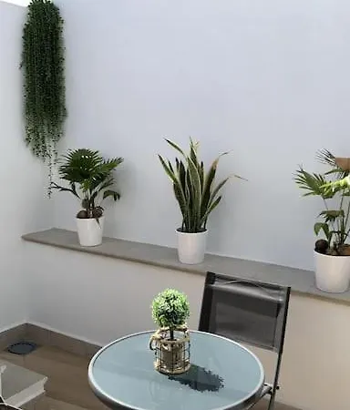 Soleada, Amplia Y Renovada Vivienda Granada